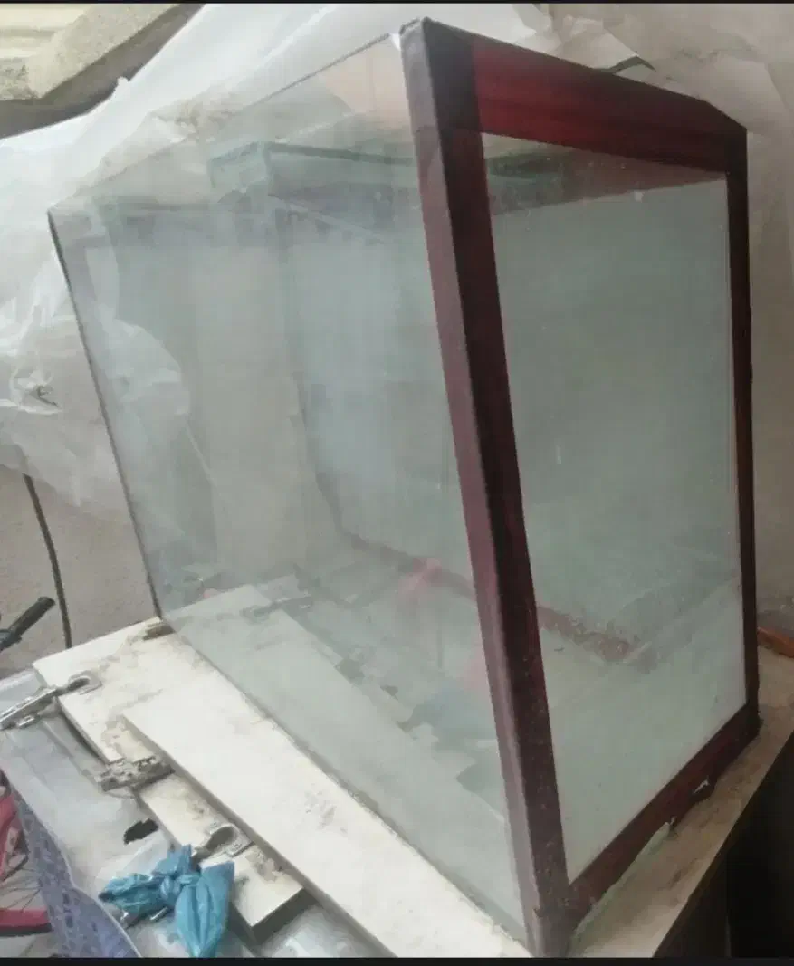 Aquarium|ماهی|بومهن, |دیوار