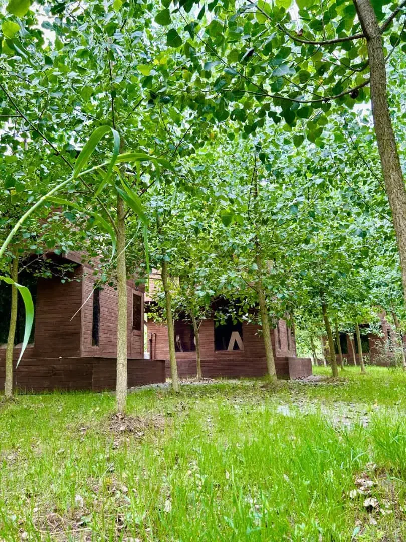 بهشتی در نزدیکی شما|فروش خانه و ویلا|تاکستان, |دیوار