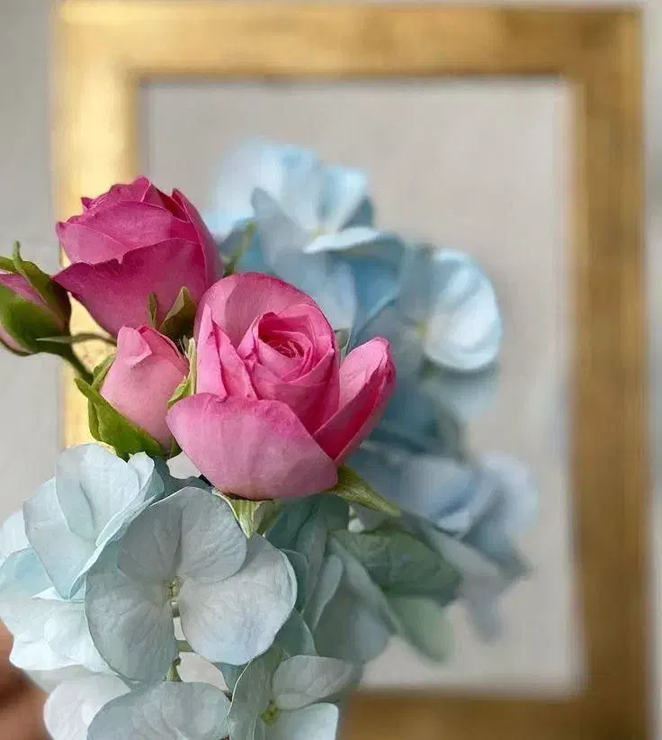 یک ضامن|فعالیت داوطلبانه تحقیقاتی|قائمشهر, |دیوار