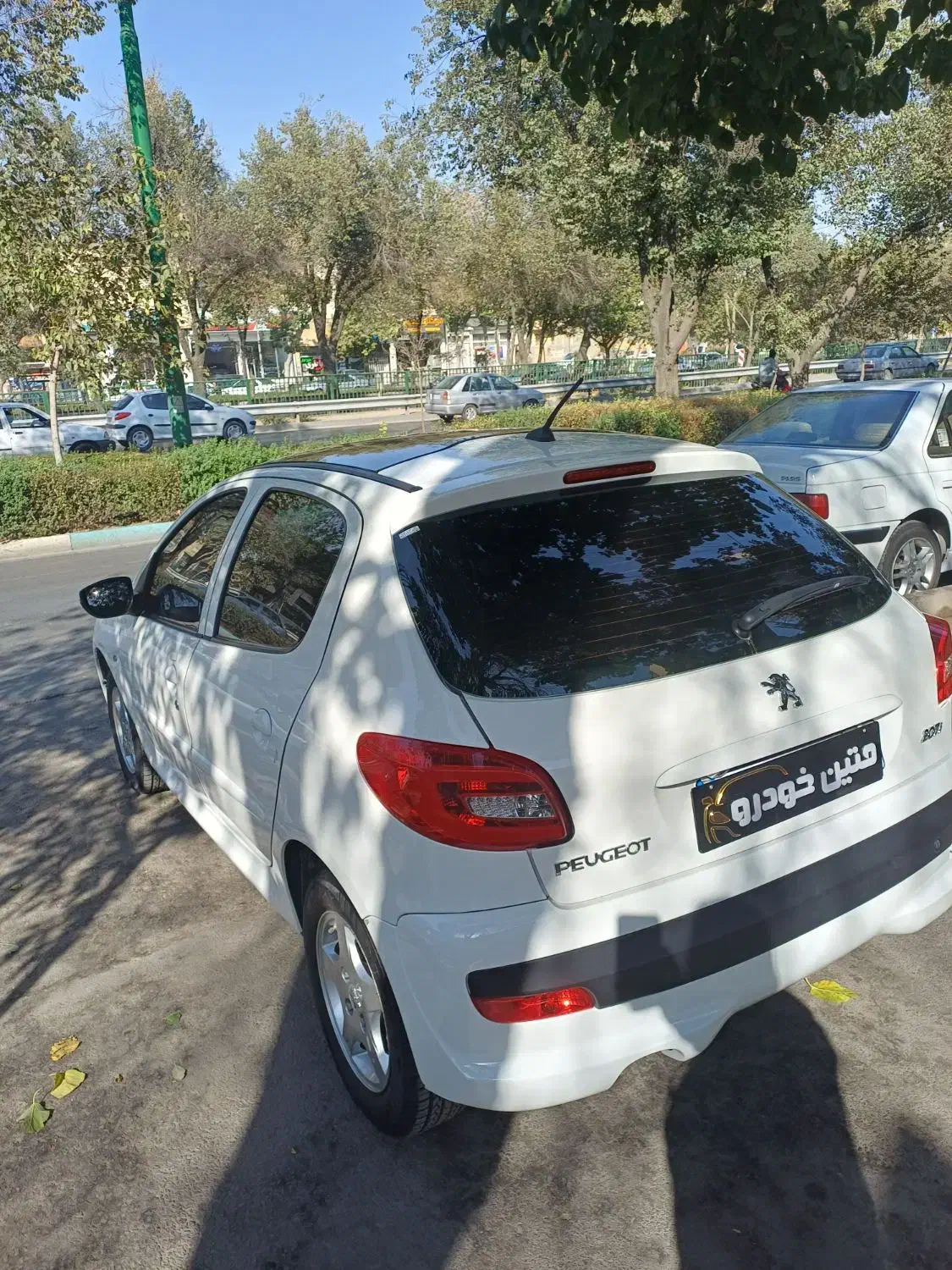 ۲۰۷ پانا ارتقا یافته قابل معاوضه|خودرو سواری و وانت|اصفهان, فروردین|دیوار