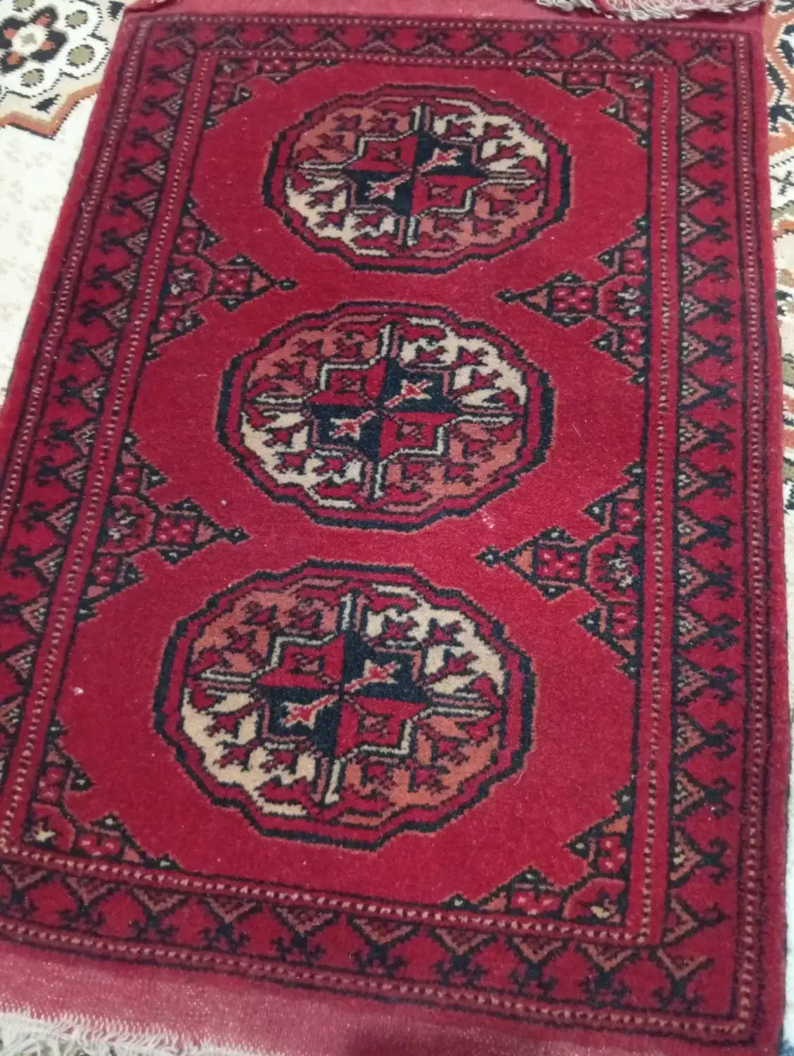 پادری|پادری|تهران, تولید دارو|دیوار