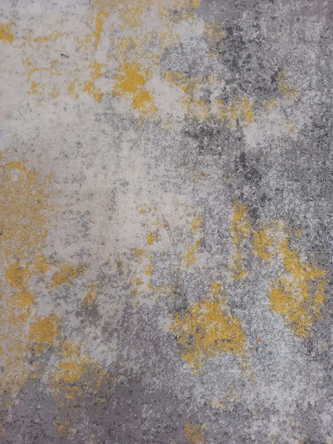 گیلیم فرش ۶متری|گلیم، جاجیم، گبه|بروجرد, |دیوار