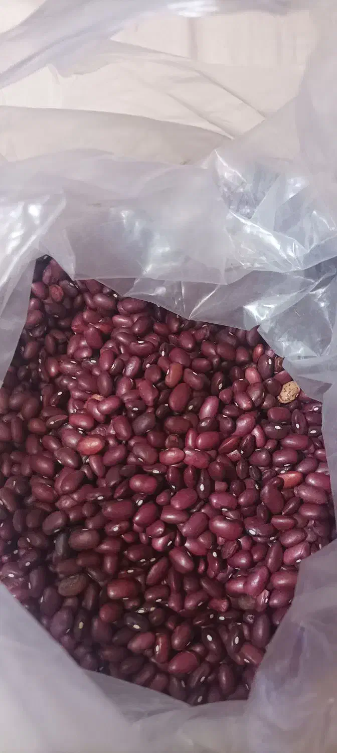 لوبیا قرمز|خوردنی و آشامیدنی|پردیس, فاز ۱|دیوار