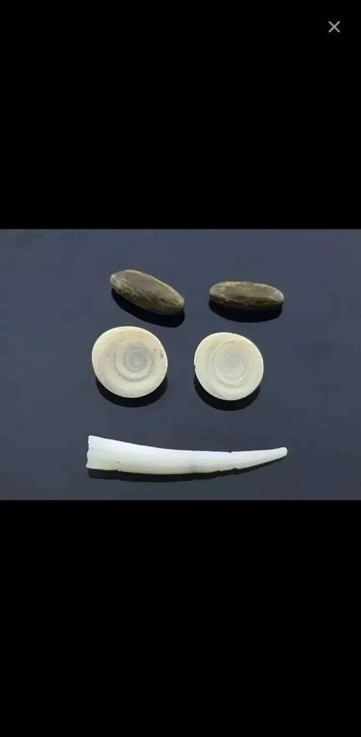 مهره کلکسیونی|کلکسیون اشیاء عتیقه|زابل, |دیوار