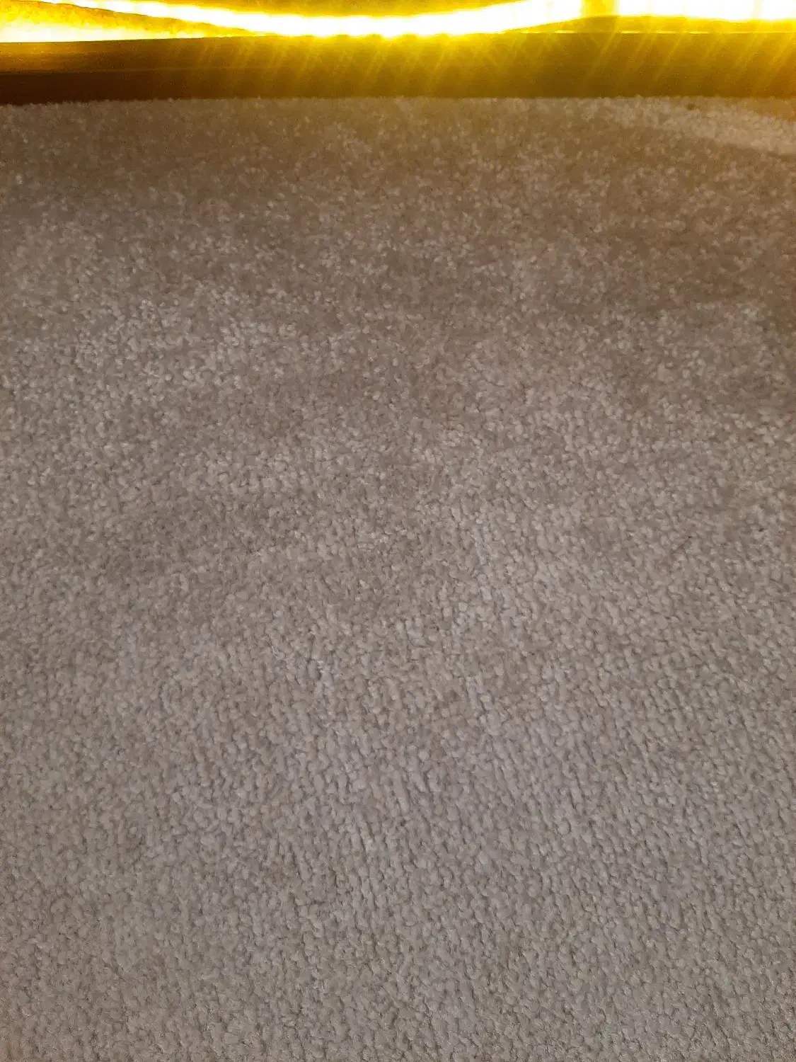 موکت طوسی رنگ|موکت|تهران, زرکش|دیوار