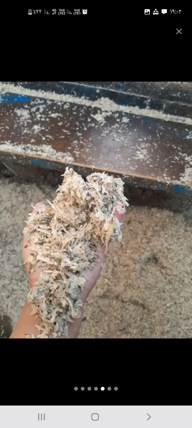 تفاله چغندر ملاس درجه ۱|حیوانات مزرعه|هشترود, |دیوار