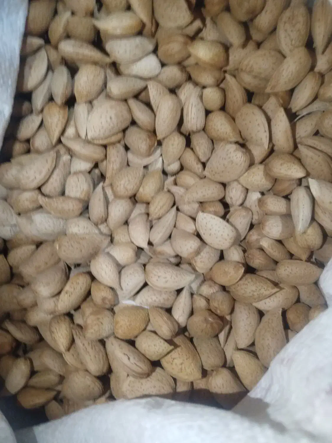 بادام|خوردنی و آشامیدنی|شیرینسو, |دیوار