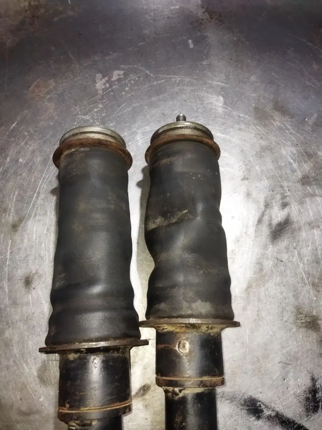 پنوماتیک پژو|قطعات یدکی و لوازم جانبی|خمام, |دیوار