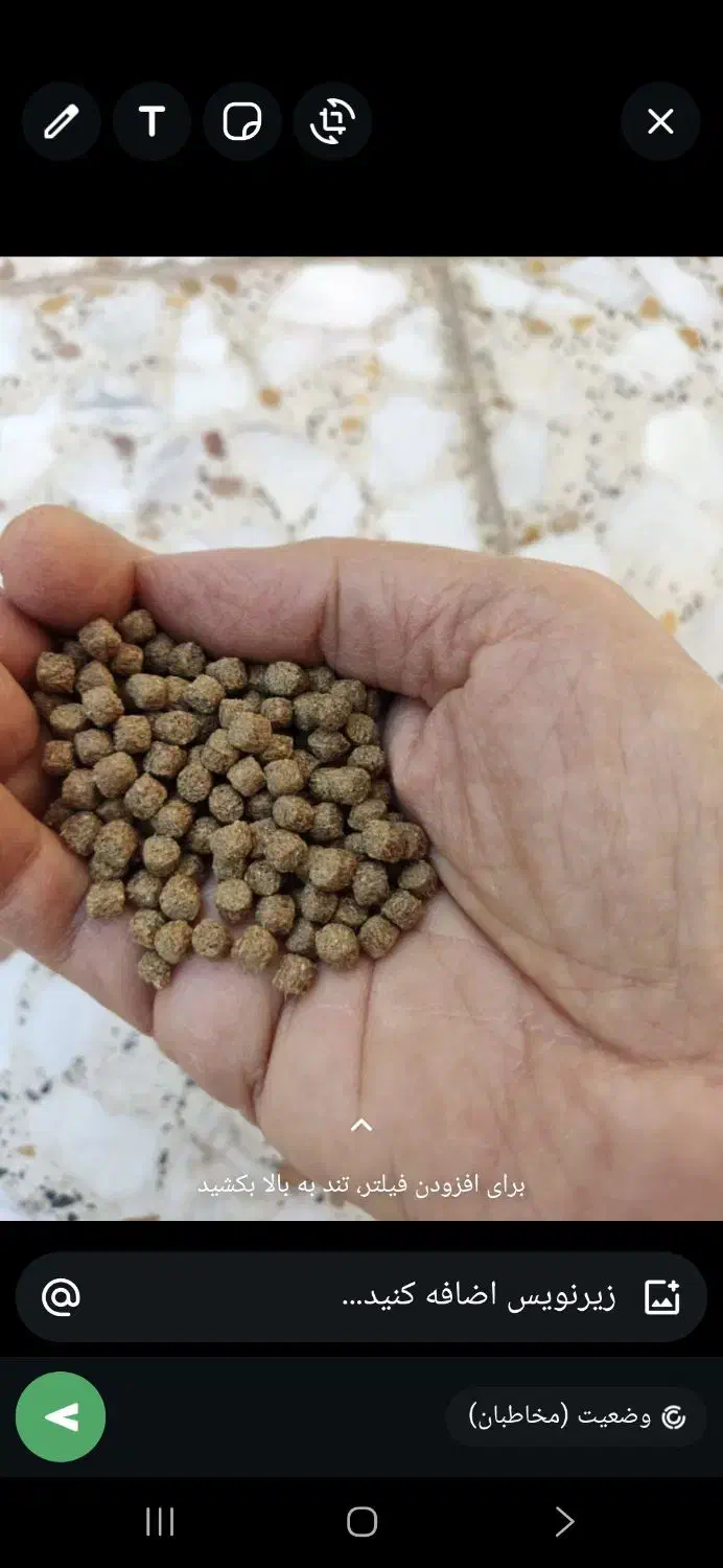 علف خوراک مخصوص کپور دارای پودر ماهی|ماهی|اهواز, گلستان|دیوار