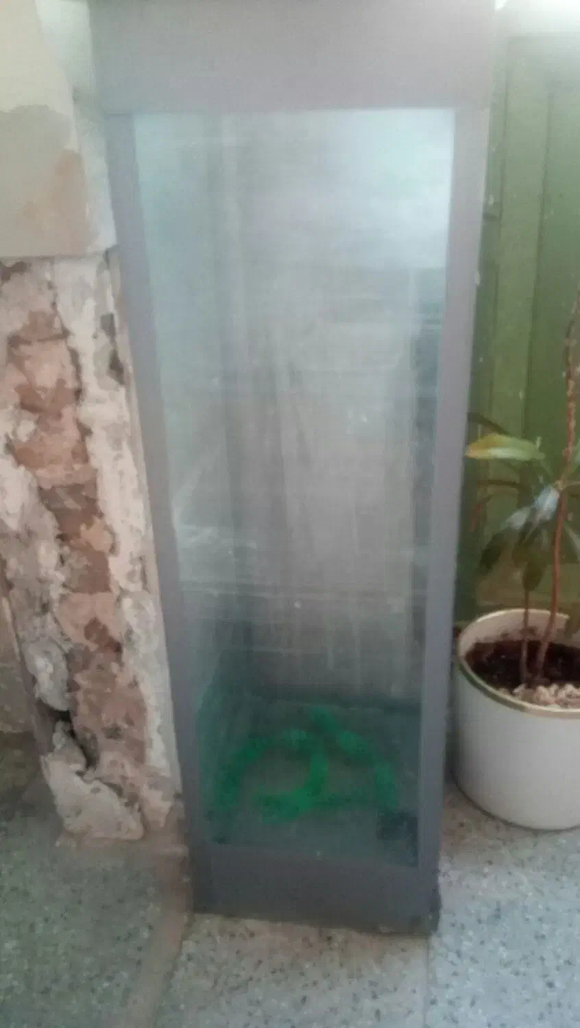 اکواریوم بزرگ|ماهی|تربت‌حیدریه, سیلوی گندم|دیوار