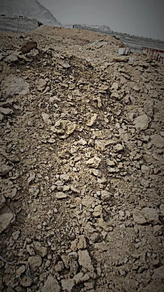 کود گاوی|خدمات باغبانی و درختکاری|زاهدان, |دیوار