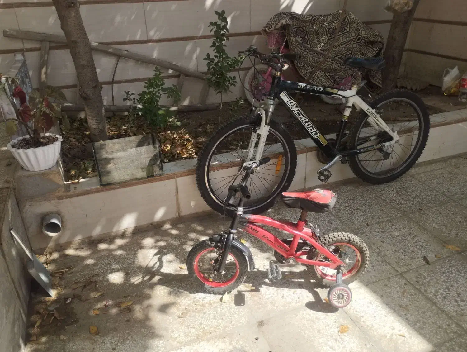 دوچرخه ۲۶ و۱۲سالم ومرتب|دوچرخه، اسکیت، اسکوتر|چناران, |دیوار