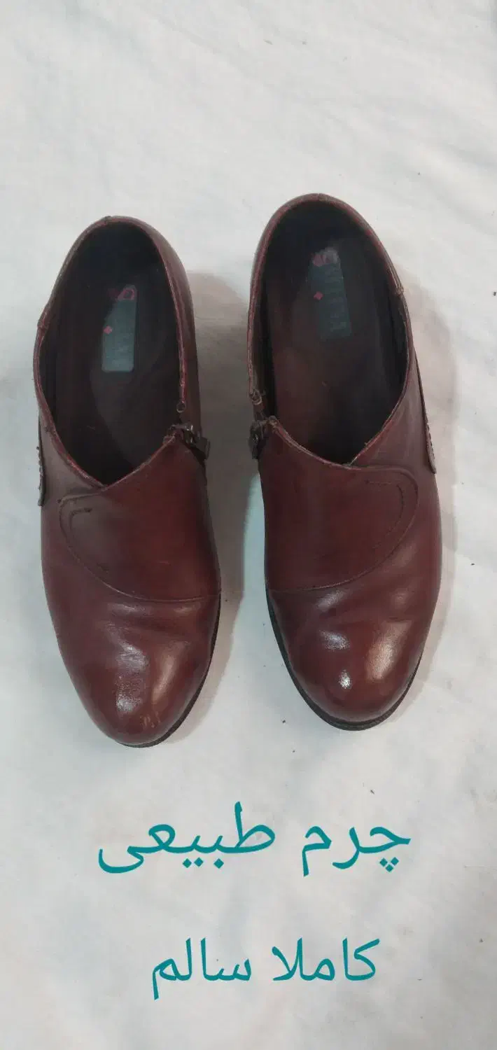 کفش|کیف، کفش، کمربند|قرچک, مهدیه|دیوار