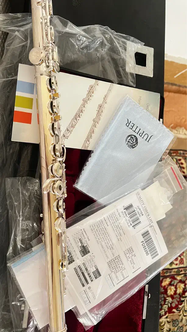 فلود کلید دار ژوپیتر700|سازهای بادی|بوشهر, |دیوار