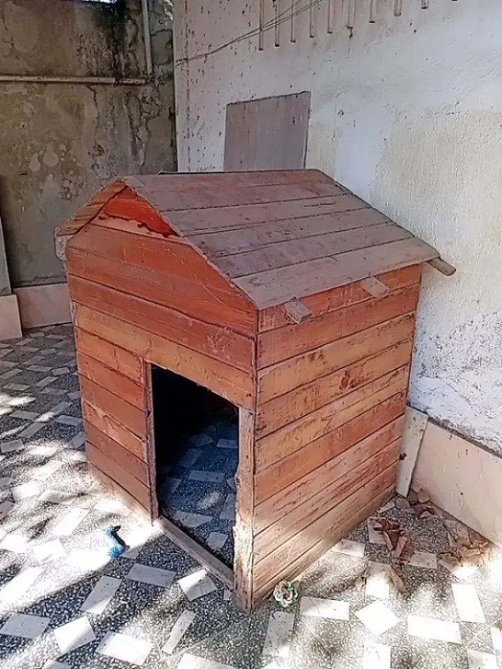 کلبه چوبی سگ بزرگ|لوازم جانبی حیوانات|آمل, |دیوار