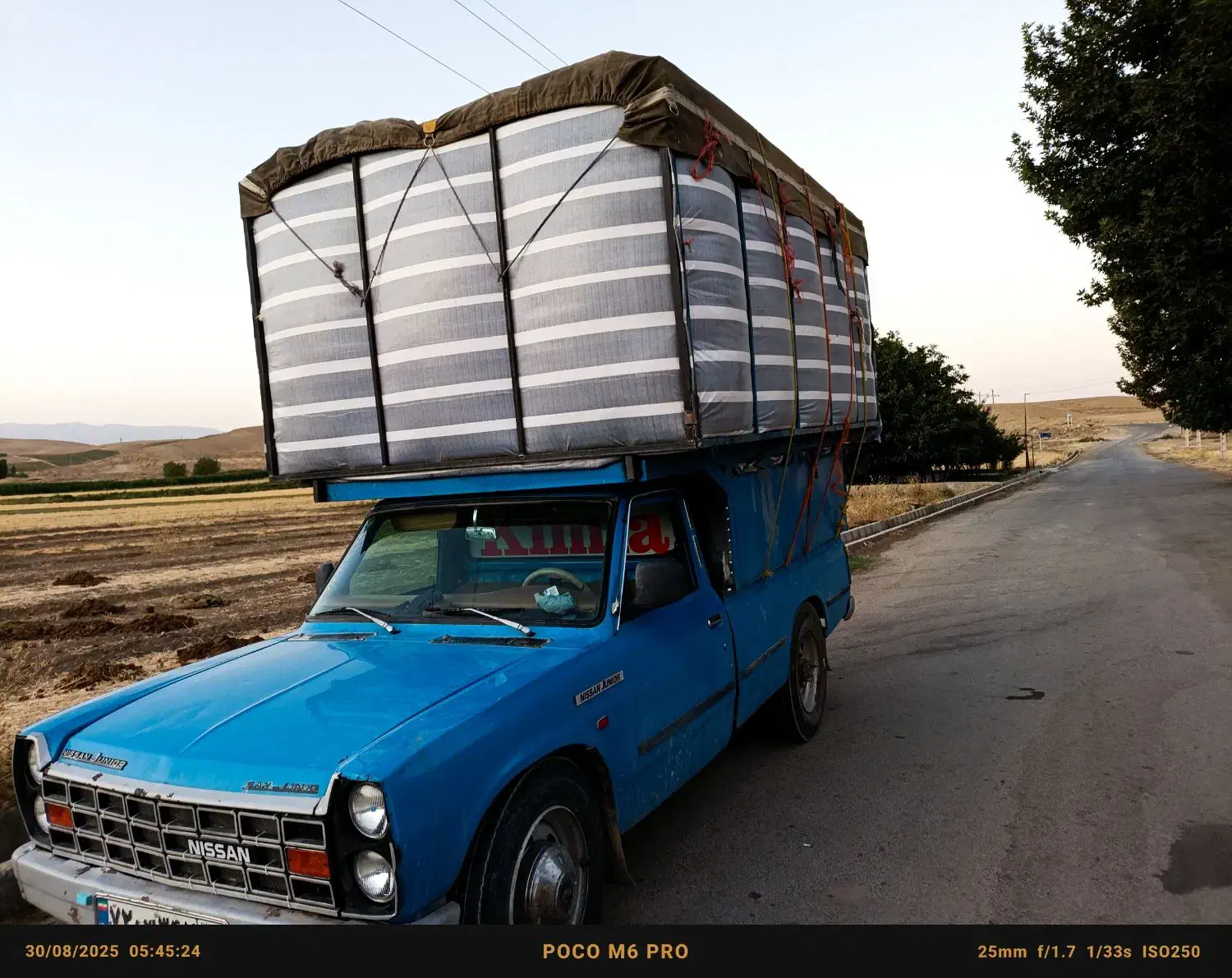 کاه دیم درجه۱|لوازم جانبی حیوانات|کبودرآهنگ, |دیوار