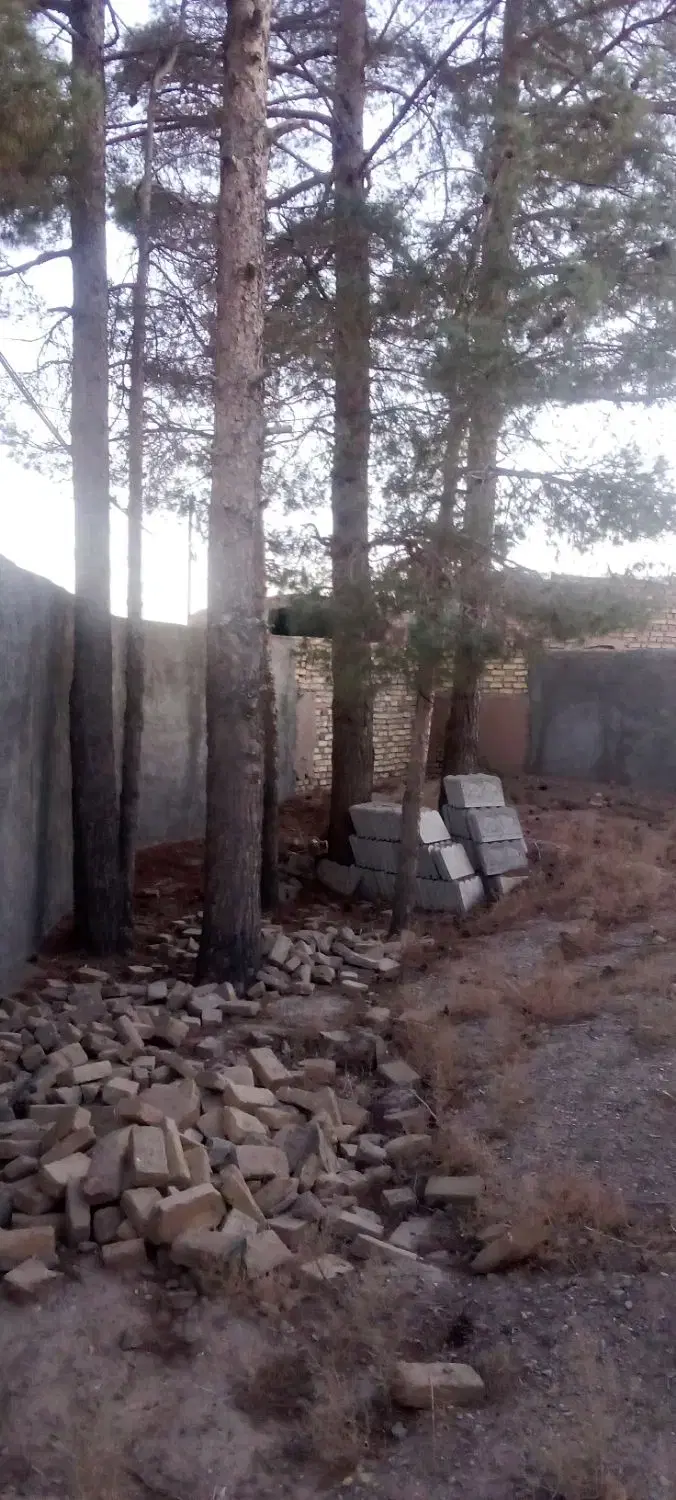 تصویر 3