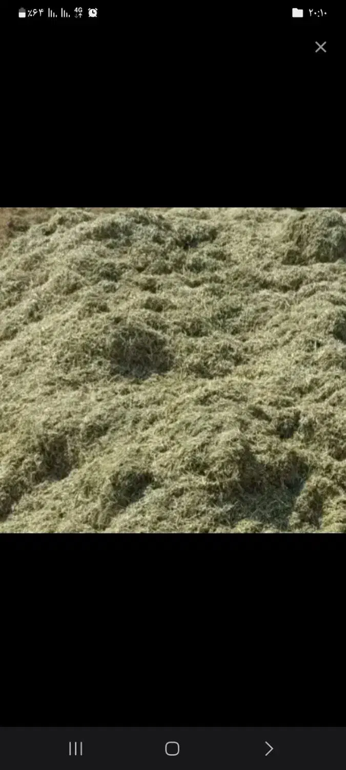 کاه لوبیا|لوازم جانبی حیوانات|فلارد, |دیوار