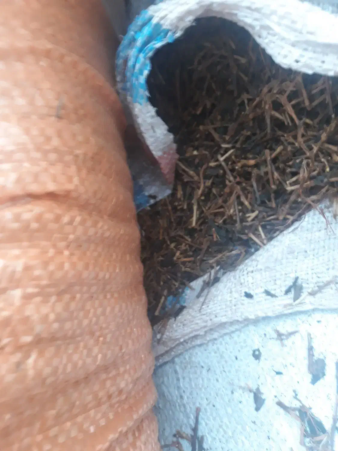 مکمل های خاک گلخانه|عمدهفروشی|رودسر, |دیوار