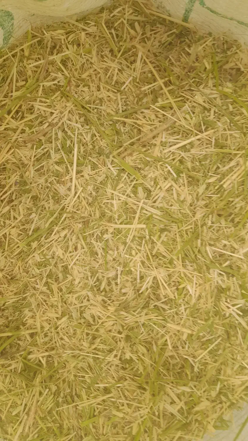 علوفه|حیوانات مزرعه|سنقر, |دیوار