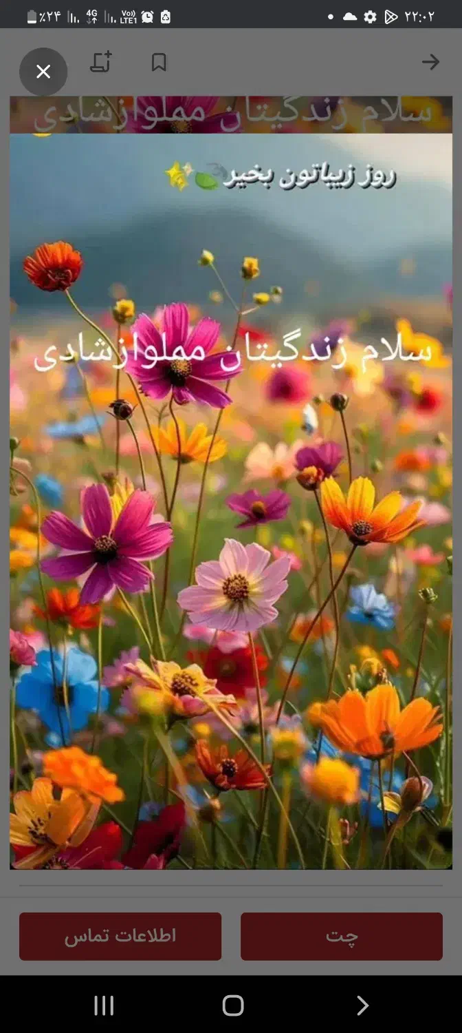 پرستار سالمند|استخدام درمانی، زیبایی، بهداشتی|بم, |دیوار