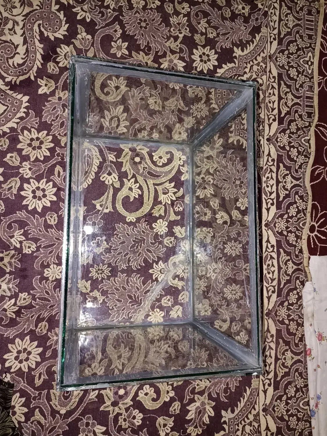 آکواریوم|ماهی|مبارکه, |دیوار