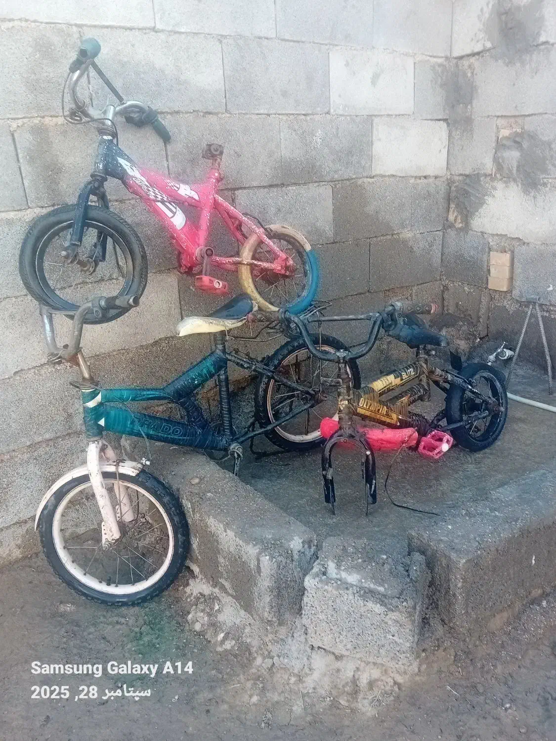 دوچرخه|دوچرخه، اسکیت، اسکوتر|شوشتر, |دیوار