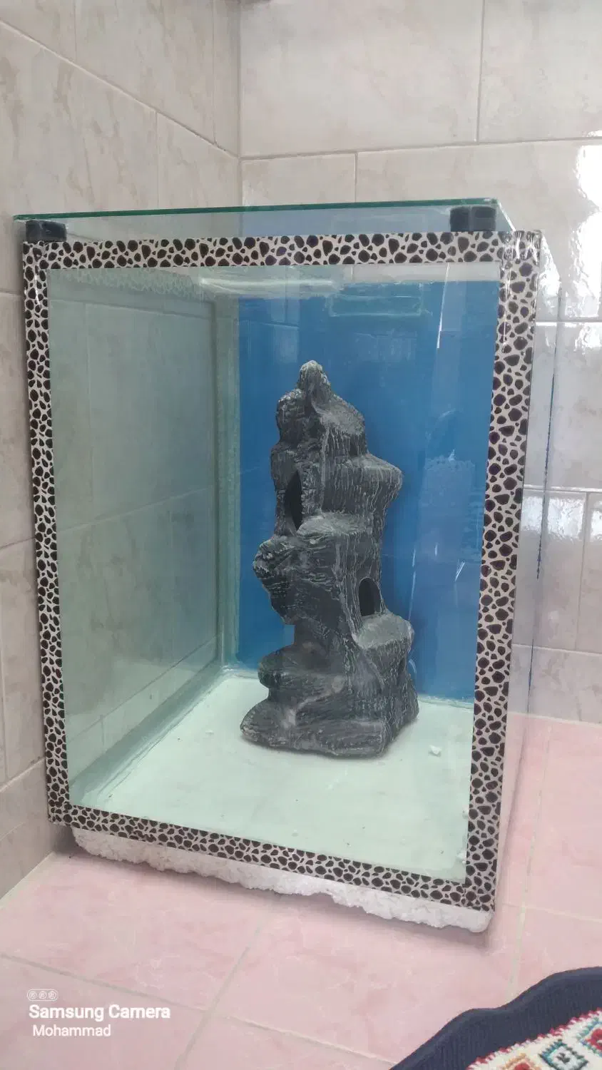 آکواریوم با وسایل|ماهی|بروجرد, |دیوار