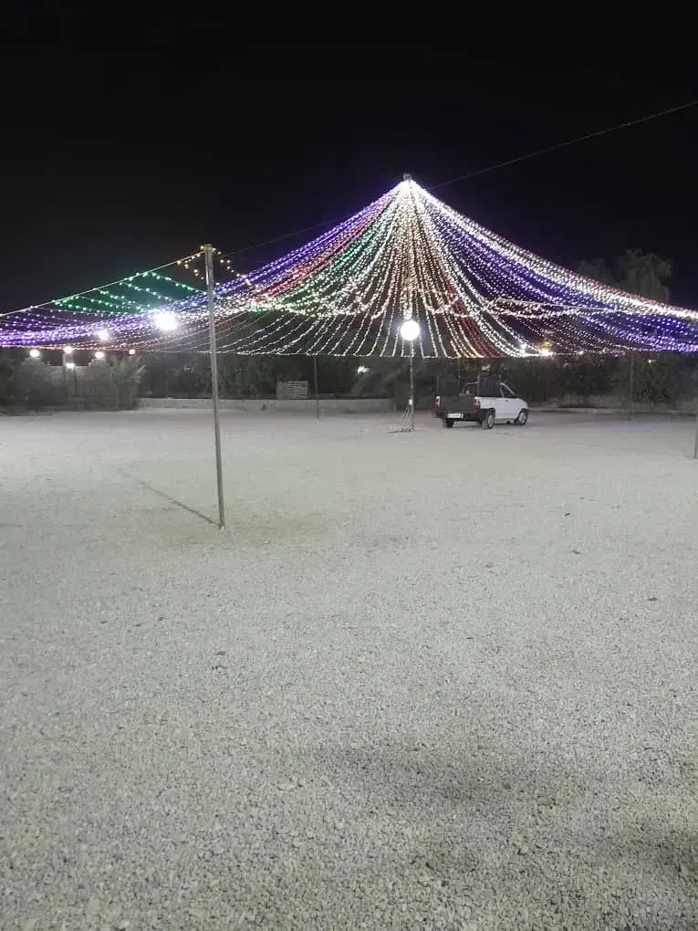 نور پردازی نخل|ریسه و چراغ تزئینی|بندرعباس, |دیوار