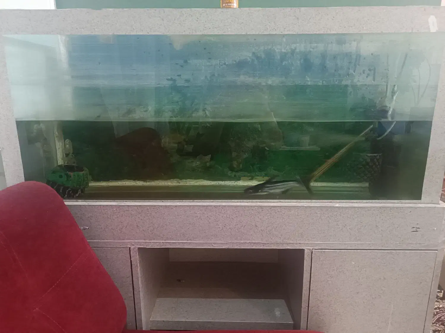 آکواریوم با ماهی معاوضه فقط با پرنده ومرغ یا فروش|ماهی|کرج, چهارصد دستگاه|دیوار