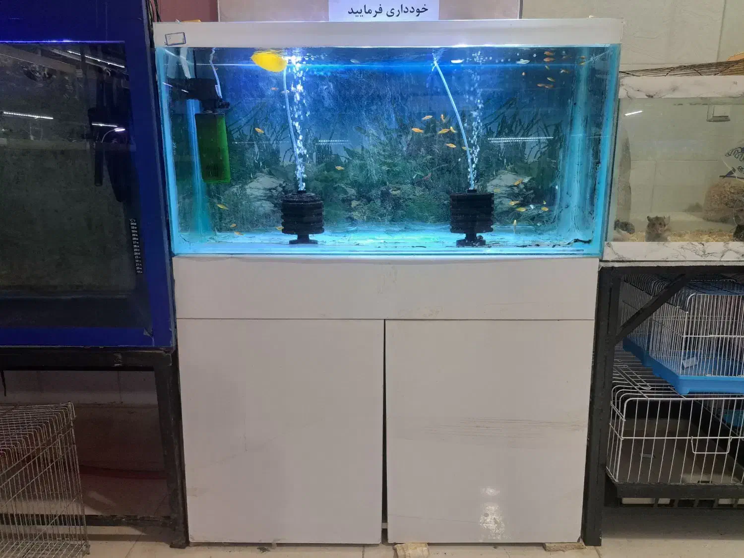 اکواریوم دست دوم AQUA SEYF|ماهی|زنجان, |دیوار