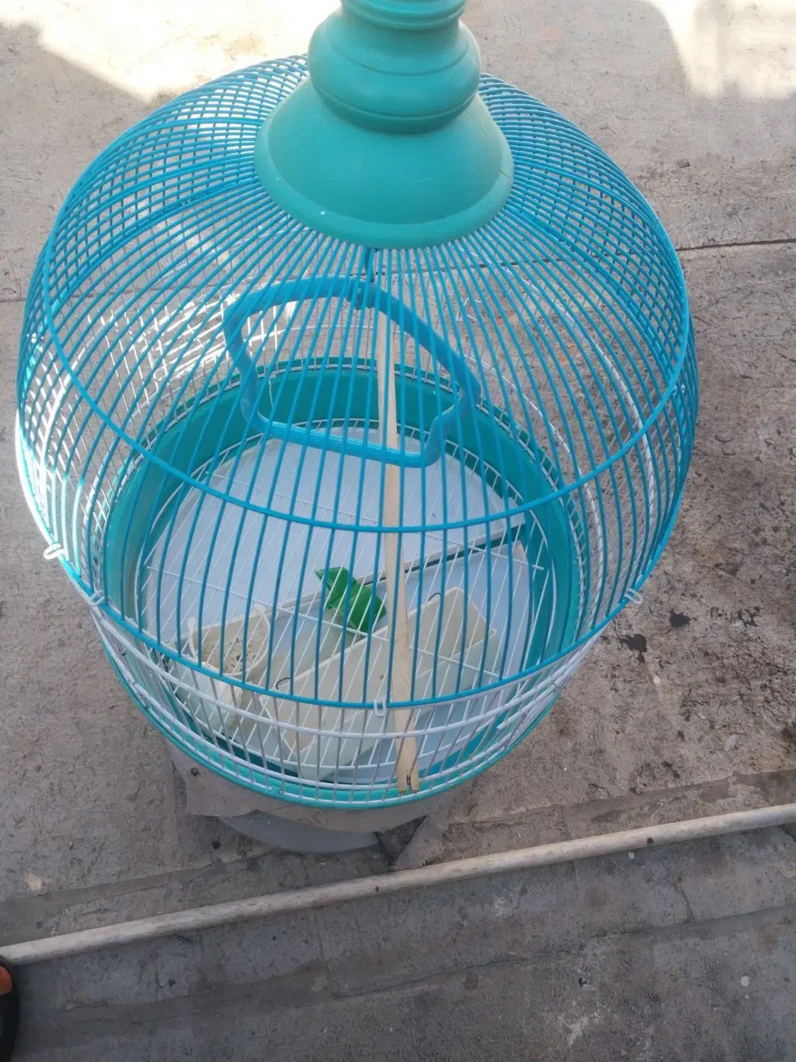 قفس پرنده|لوازم جانبی حیوانات|فردیس, فردیس|دیوار