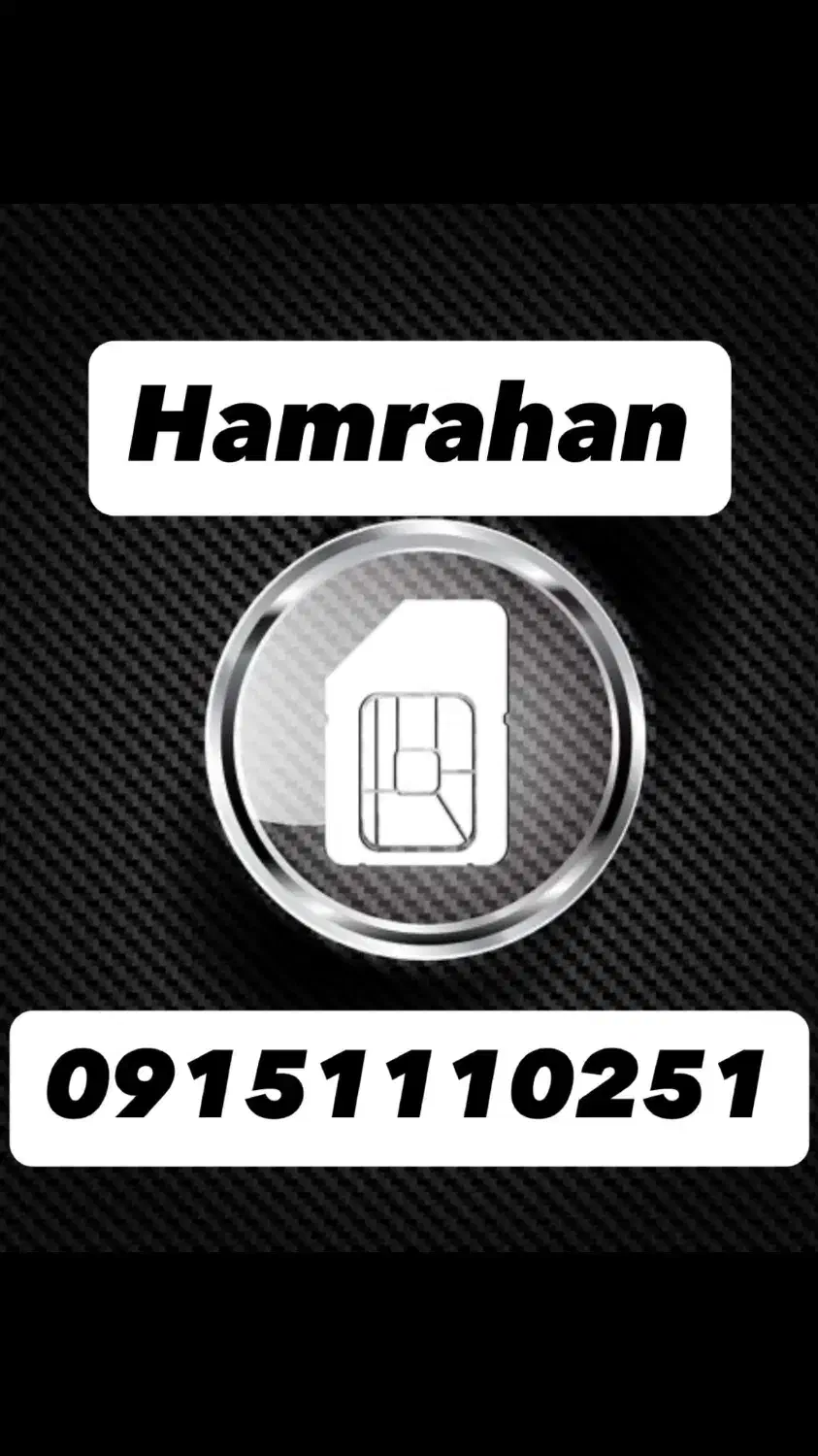 09151110251|سیمکارت|مشهد, امام رضا (ع)|دیوار