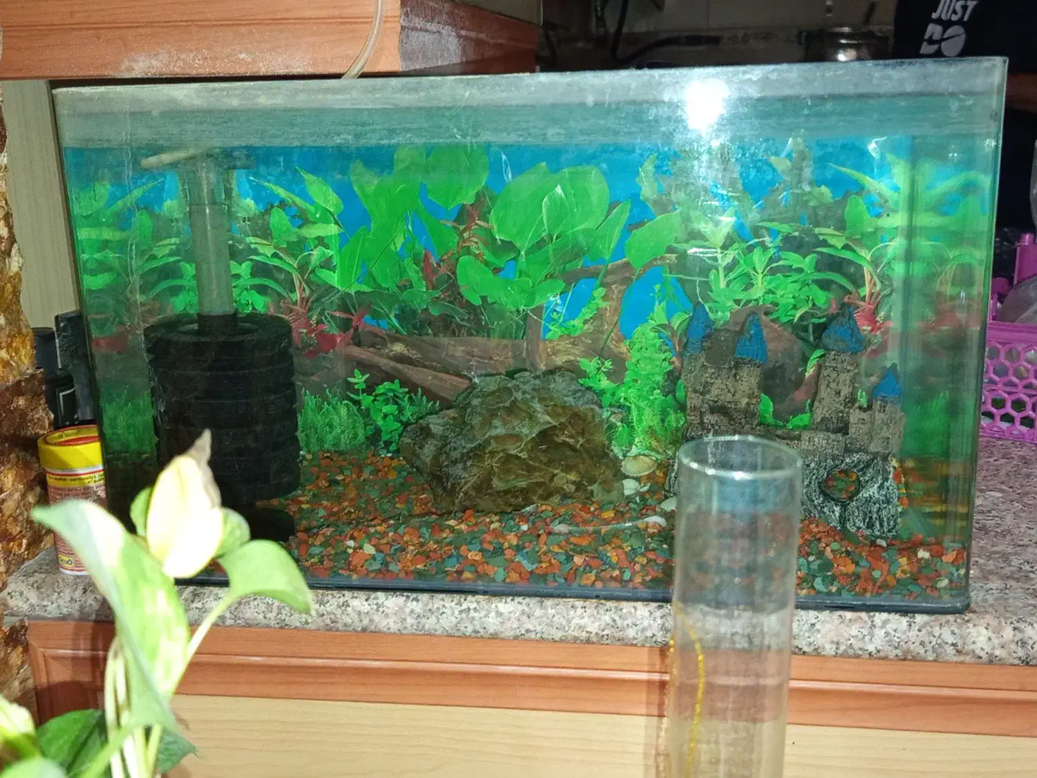 آکواریوم درحد نو|ماهی|قم, بنیاد|دیوار