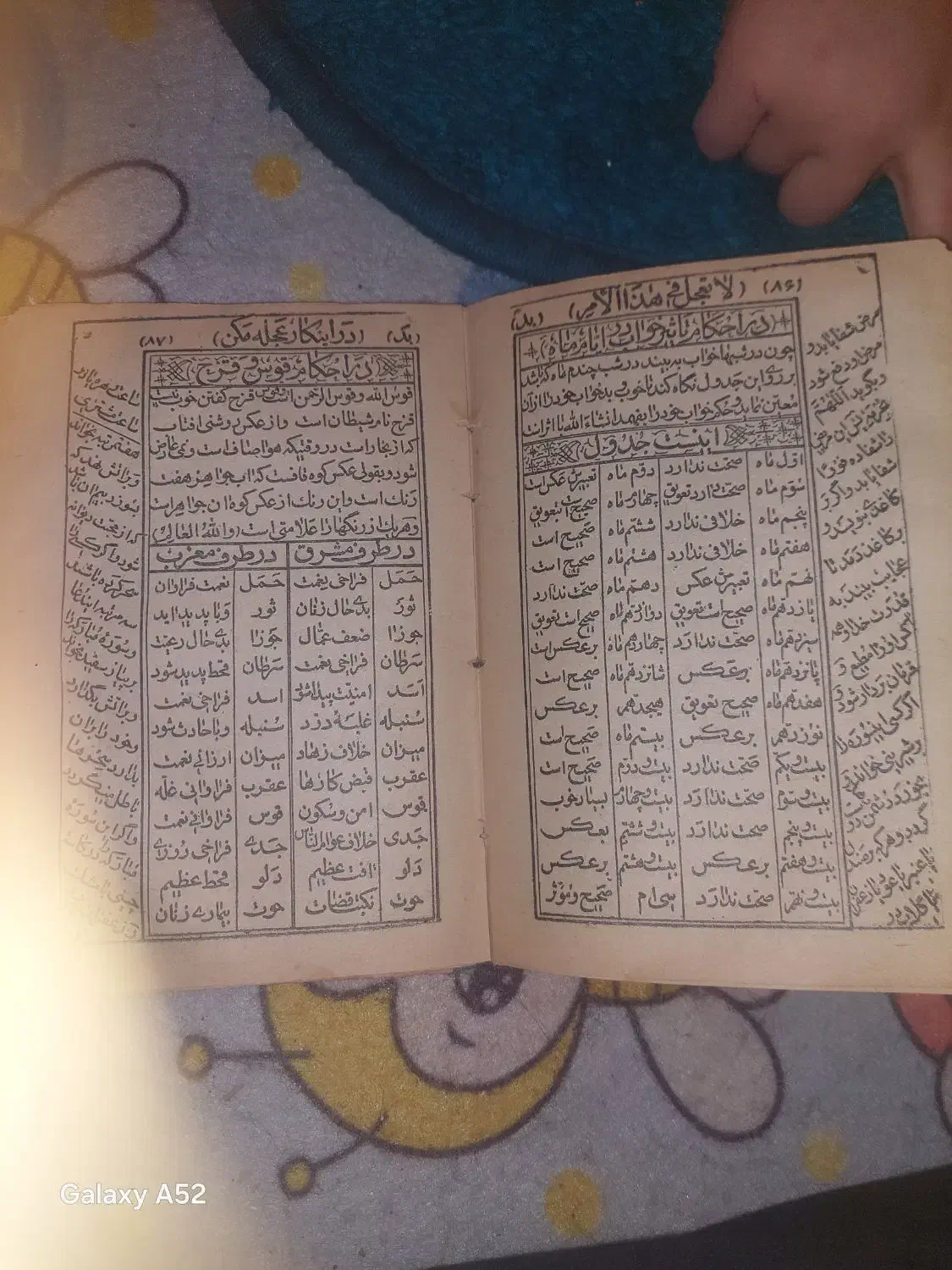 کتاب|کلکسیون اشیاء عتیقه|پاکدشت, پاکدشت (مامازند)|دیوار