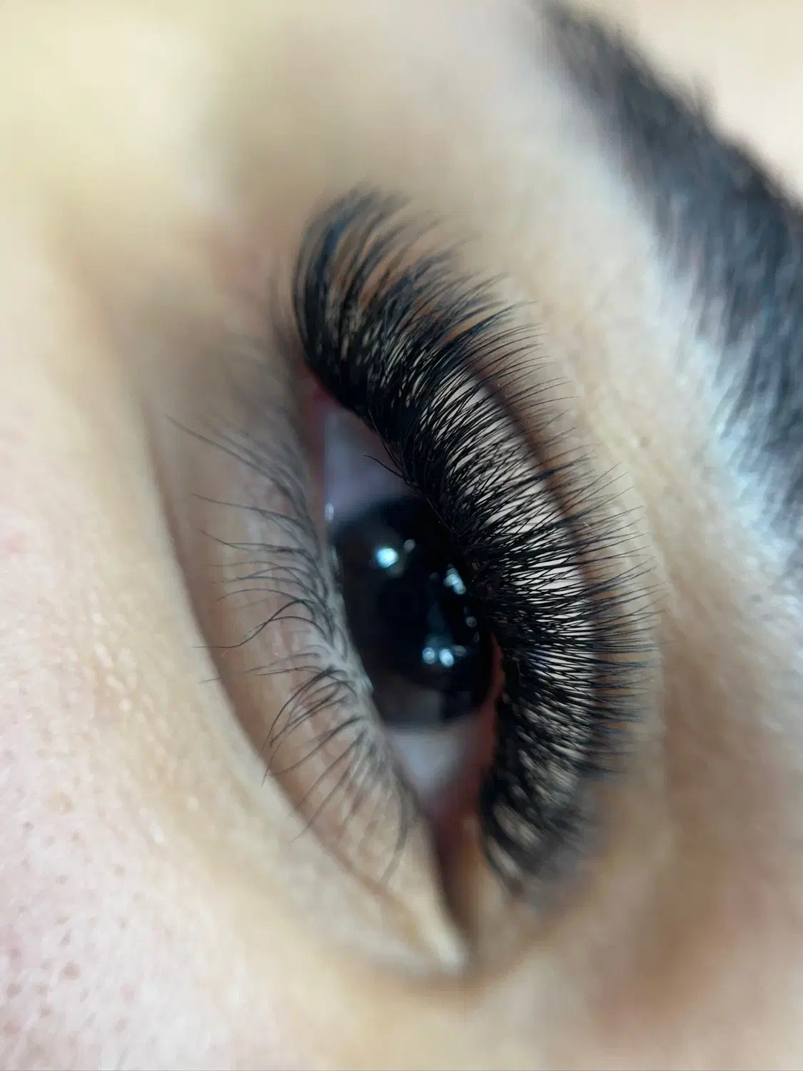 مژه کار / کاشت و اکستنشن حرفه ای مژه|خدمات آرایشگری و زیبایی|آمل, |دیوار