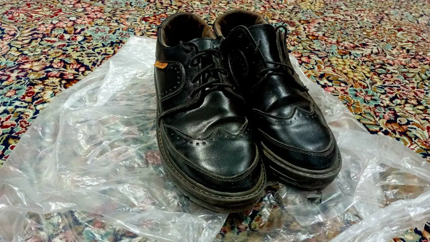 کفش پسرانه|کیف، کفش، کمربند|کرمان, |دیوار