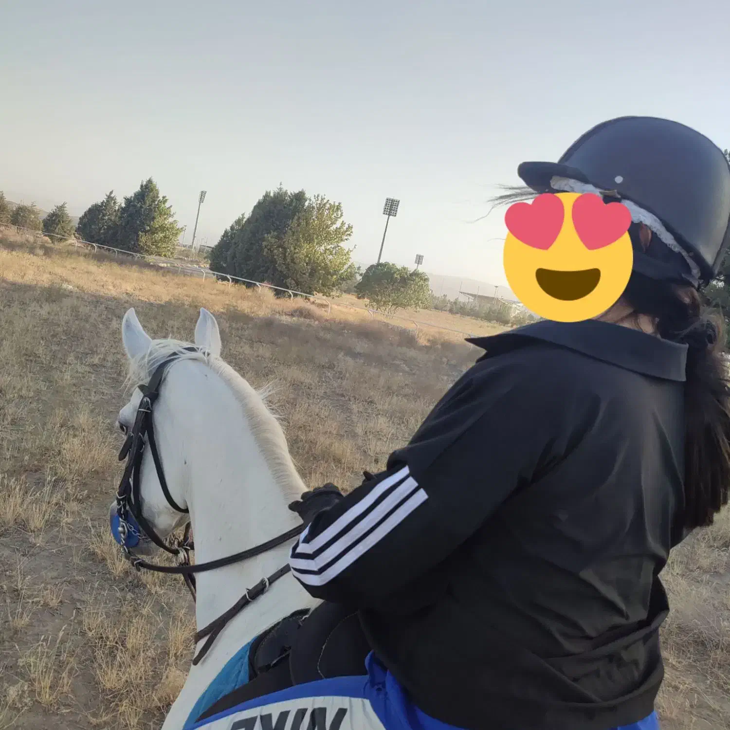 آموزش سوارکاری، گشت و طبیعت گردی با اسب|اسب و تجهیزات اسب‌سواری|مشهد, شهرک صنعتی توس|دیوار