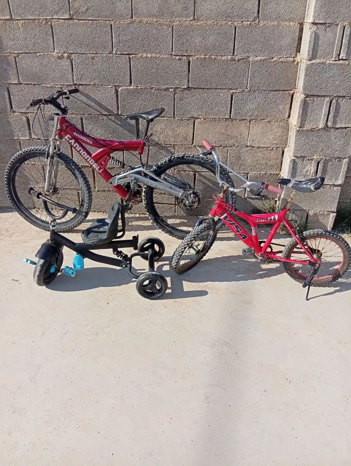 دوچرخه|دوچرخه، اسکیت، اسکوتر|شیراز, کوشک بیدک|دیوار