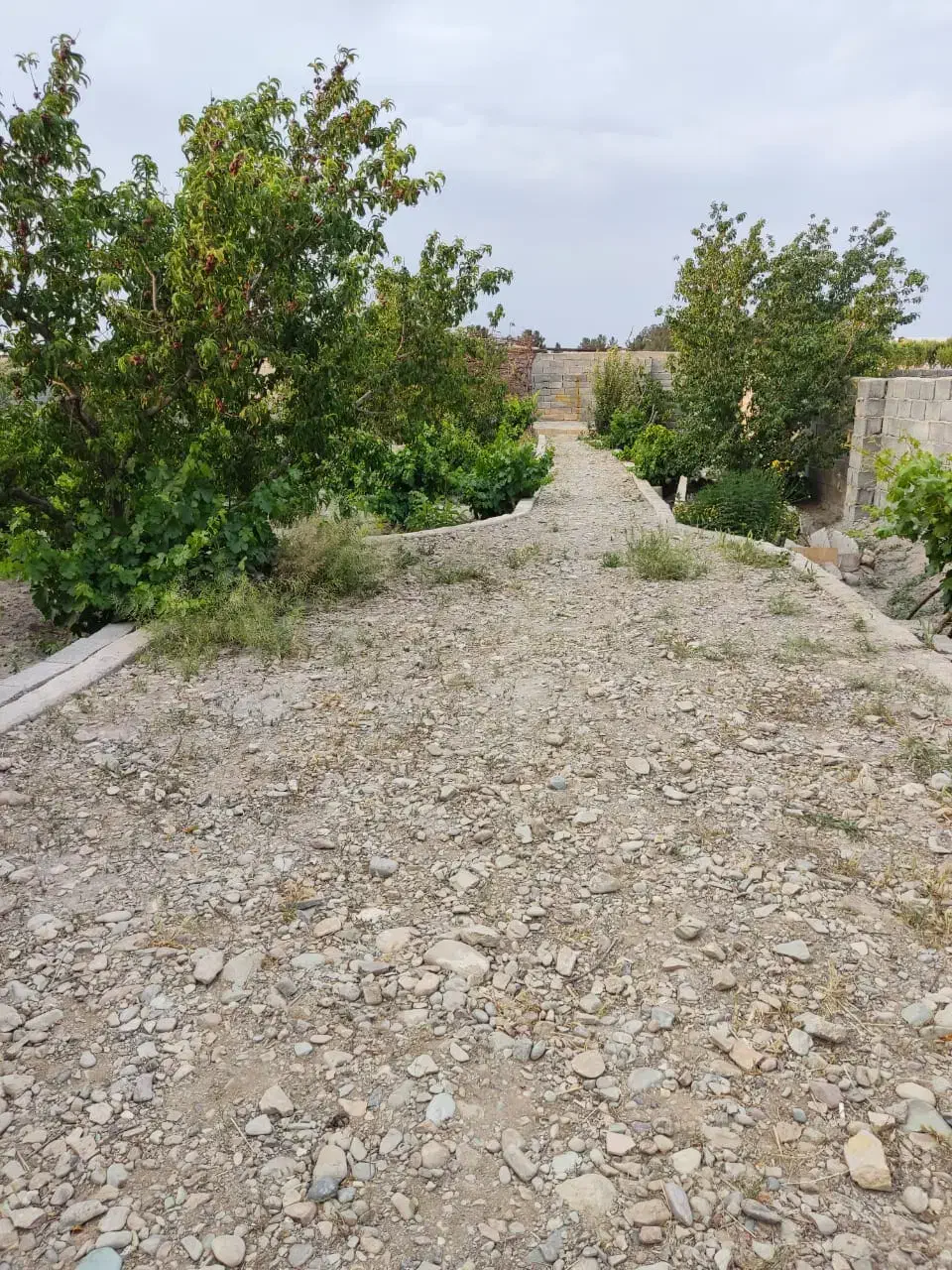 باغ و باغچه چهاردیوار مجوزدار آب برق گاز ویلا سازی|فروش زمین و ملک کلنگی|تهران, امیریه|دیوار