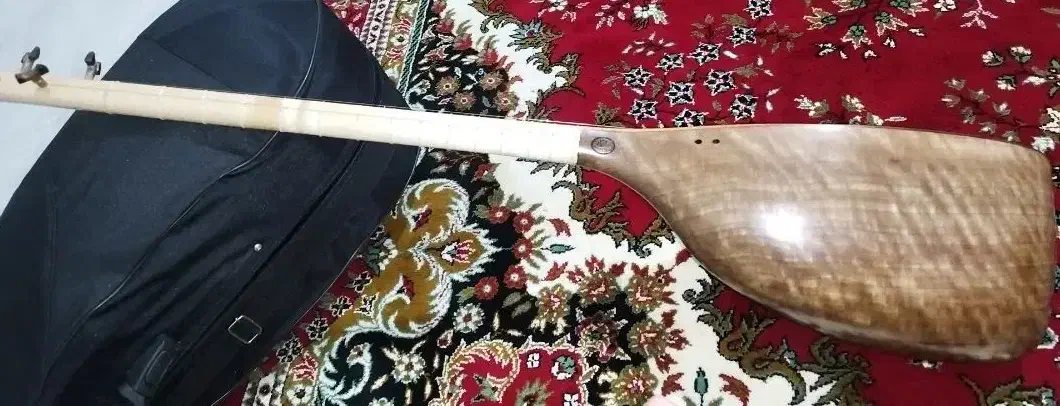 تنبور سه مهر استاد براخانی|سازهای سنتی|شیراز, تاچارا|دیوار