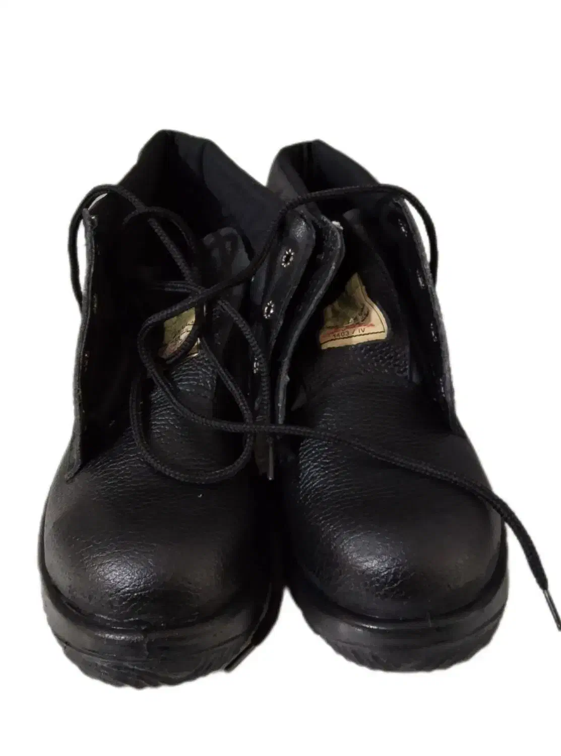 پوتین|کیف، کفش، کمربند|بجنورد, |دیوار