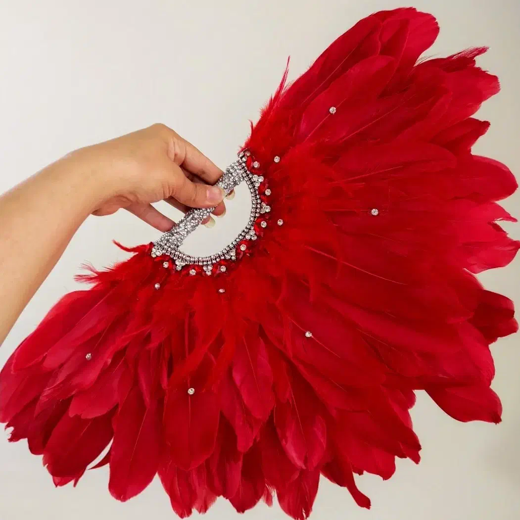 بادبزن پر|زیورآلات و اکسسوری|تبریز, |دیوار