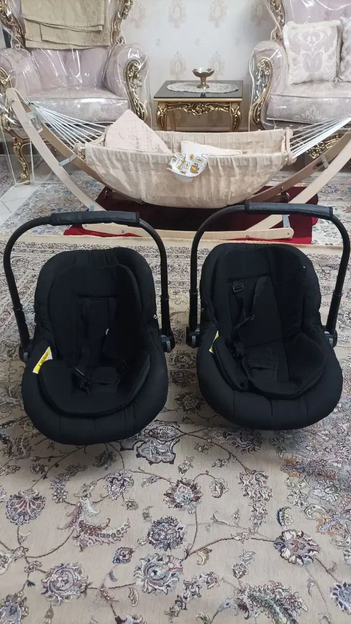 کریر دلیجان|کالسکه و لوازم جانبی|فردیس, نگارستان|دیوار