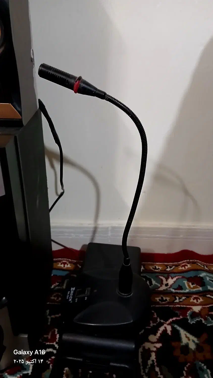 میکروفون|آلات موسیقی|شاندیز, |دیوار