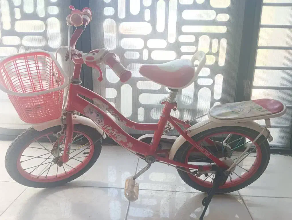 دوچرخه 16|دوچرخه، اسکیت، اسکوتر|بندر گناوه, |دیوار