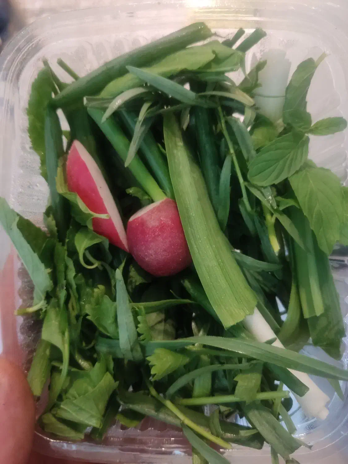 سبزی خوردن .ریحون|خوردنی و آشامیدنی|ری, هاشم‌آباد|دیوار