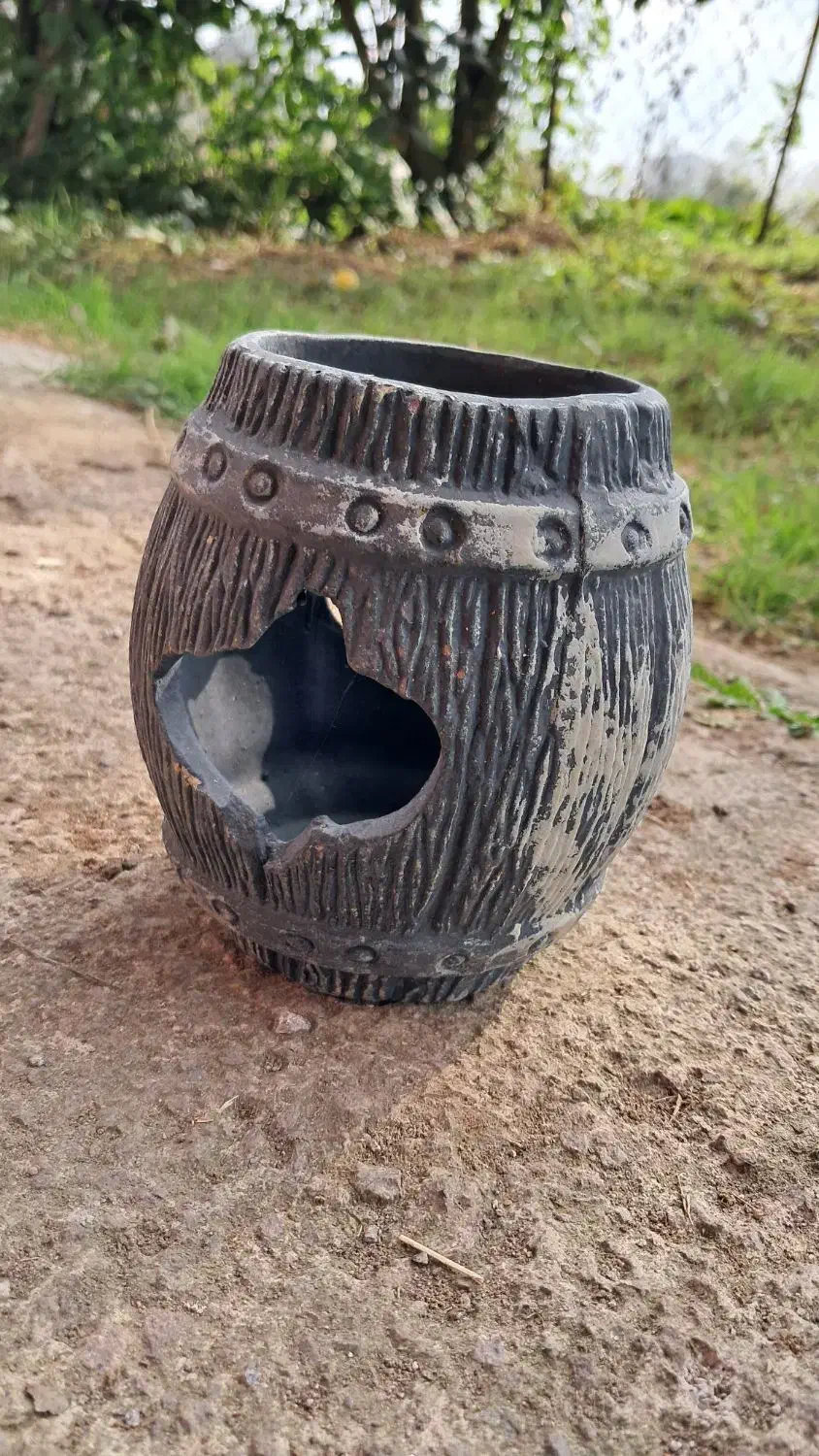 اکواریوم ماهی ۷۲ لیتری|ماهی|رودسر, |دیوار