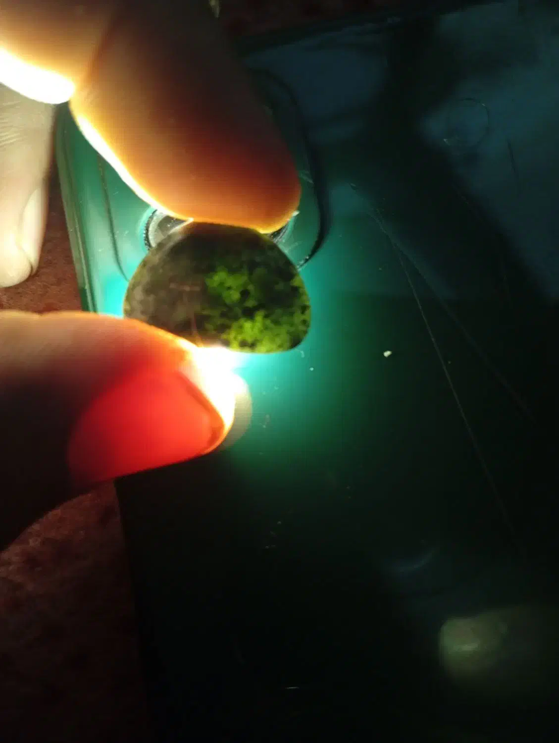 یشم جید|جواهرات|بندرعباس, |دیوار