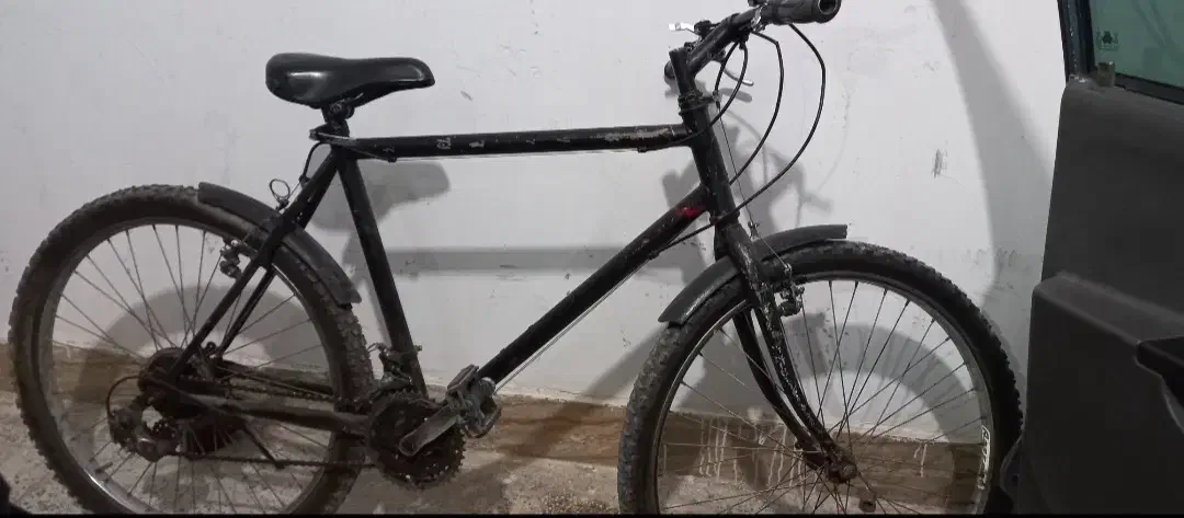 دوچرخه ۲۶ دماوند|دوچرخه، اسکیت، اسکوتر|اسفراین, |دیوار